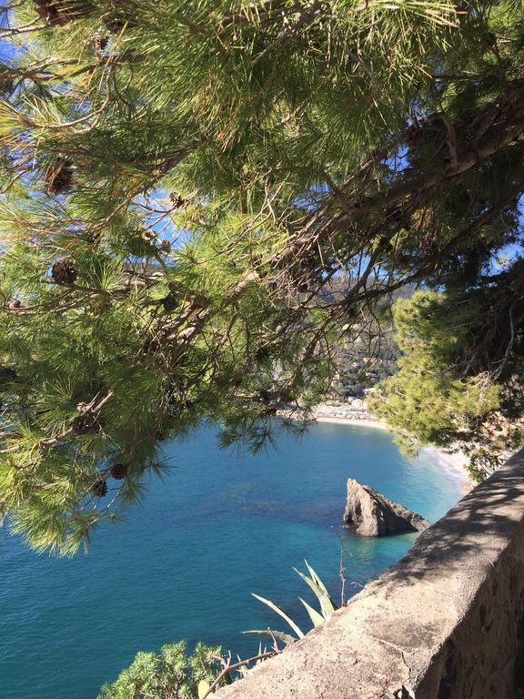 Acciuga Apartamento Monterosso al Mare Exterior foto